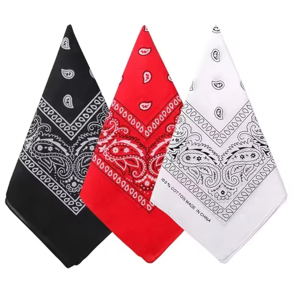 Hip Hop Cowboy Paisley Scarf L - Ascot Neck Scarf 评论和价格